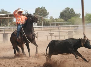 rope horse
